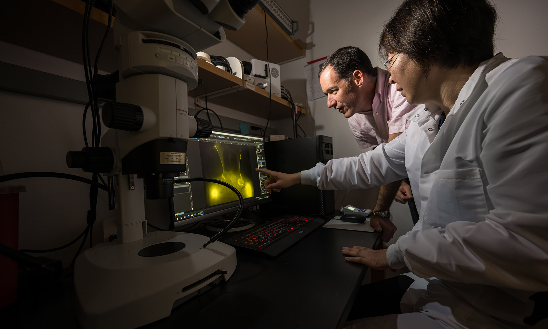 Ting Du, wearing a white lab coat, sits at a desk and points to a computer screen showing yellow fluid as Doug Kelley looks over her shoulder.