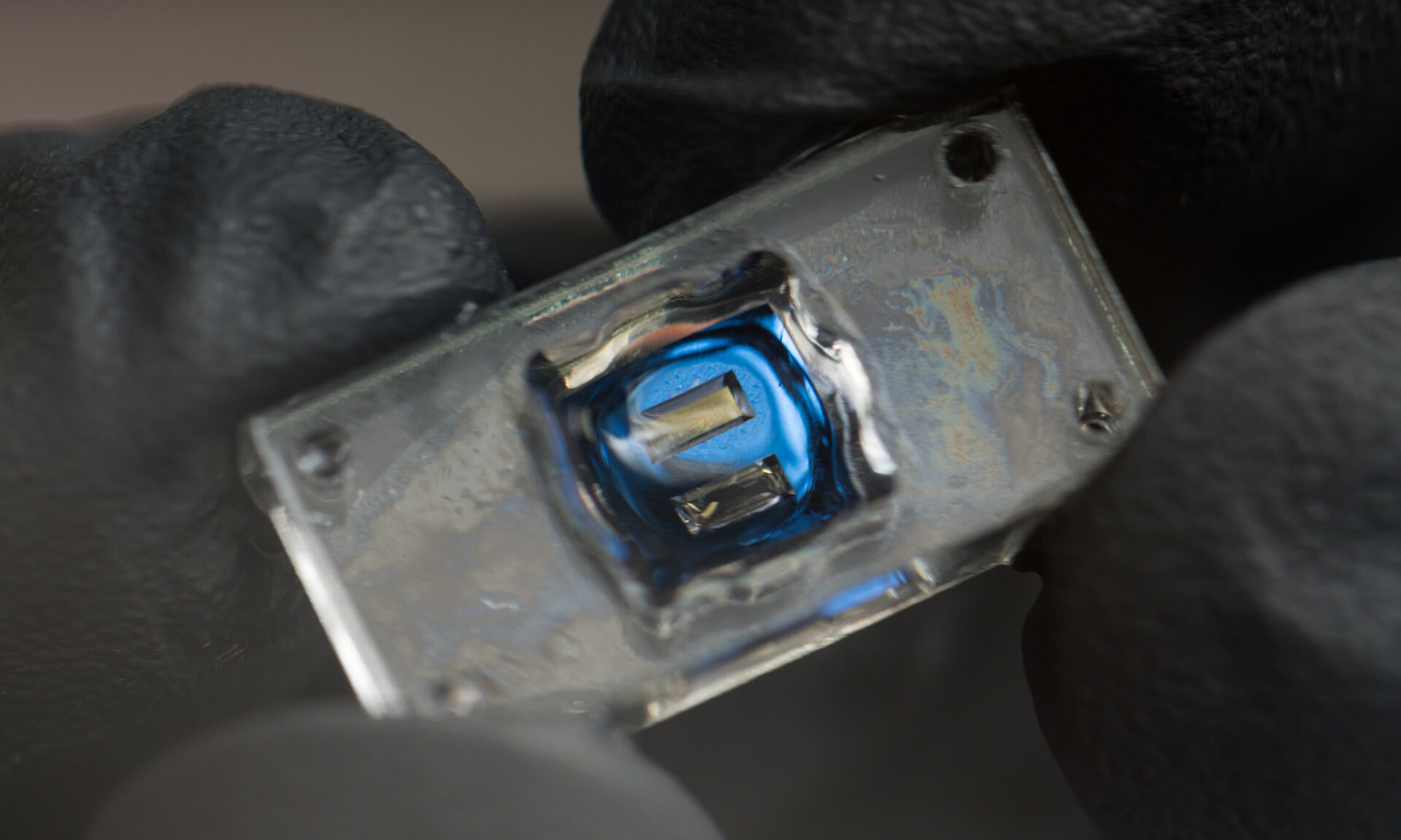 hands wearing black gloves hold a small gray chip with a blue center.
