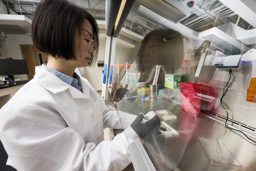 A young woman wearing a white lab coat and gloves adds cells to a new lung to brain chip device.